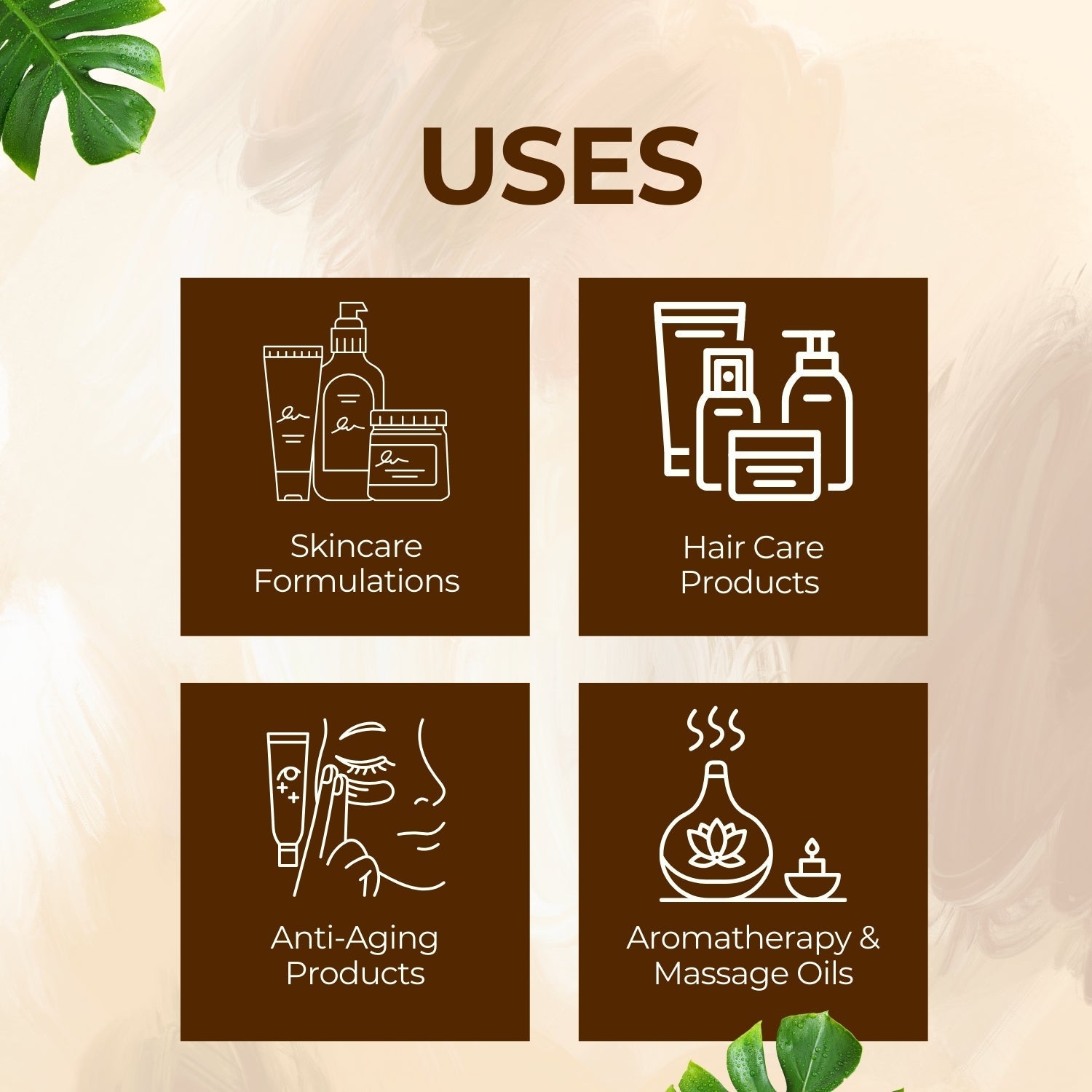 Rosemary Extract Rosemary Extract
